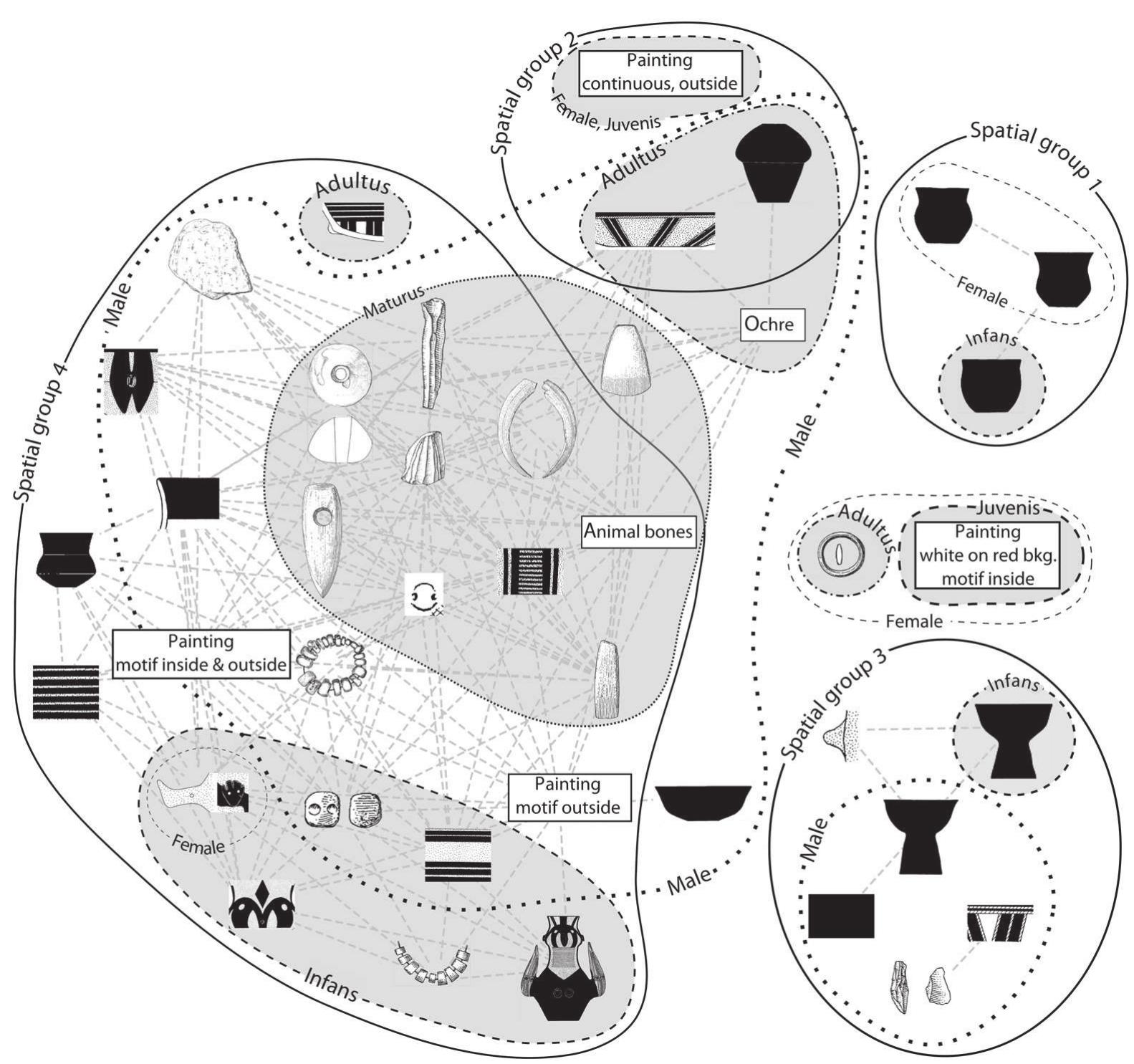 FIGURE 6. Network diagram showing grave inventory types correlating with exceptional burials of different age, sex and spatial groups. Grey dashed lines show correlations significant within a 99% confidence interval.  groups by statistically assessing their frequency of incidence within a particular group. When combined, the results of these analyses create a multidimensional space of interconnected attributes of burial rite, forming clusters along the spatial, age and sex grouping. I have attempted to visualize the emerging structures using the network analysis software Cytoscape (Cline et al. 2007), selecting only grave goods showing a significan correlation with a specific age, sex or spatial group and also with high values of EI (Figure 6). Recognizable patterns in the selection of grave goods appear in the age groups Infans, Adultus and Maturus for males and Infans, Juvenis and Adultus for females from spatia groups one to four. The highest complexity can be observed in spatial group four, where also the mos exceptional burials can be found, although this group is not the largest in terms of area nor the number of graves.  