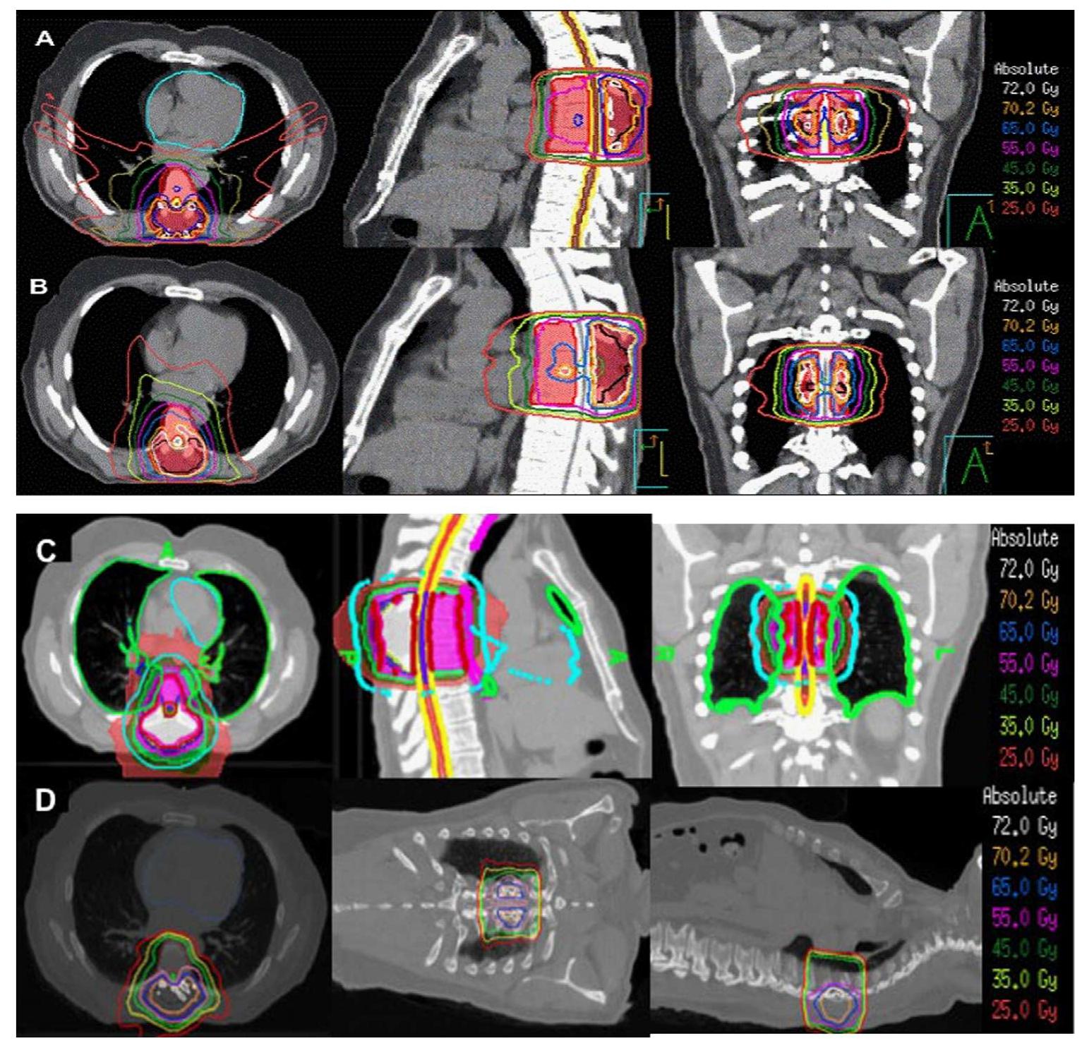 (a) transverse, (b) sagittal, and (c) coronal view of the
