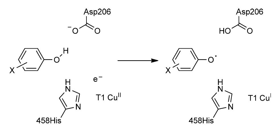 (PDF) Concerted Electron/Proton Transfer Mechanism in the Oxidation of ...