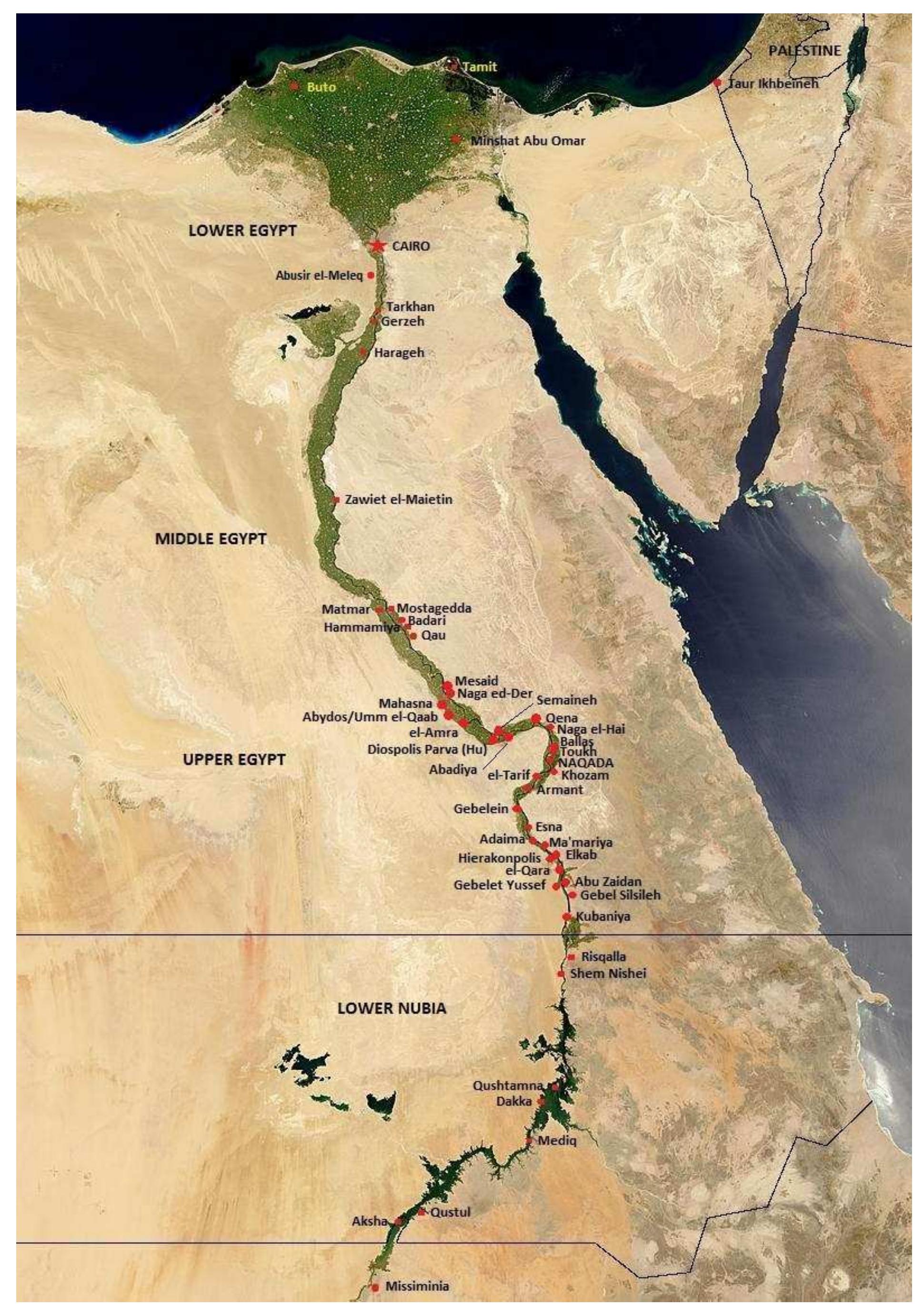 Predyn (PDF) From Nubia to the Levant: The Distribution of Predynastic ...