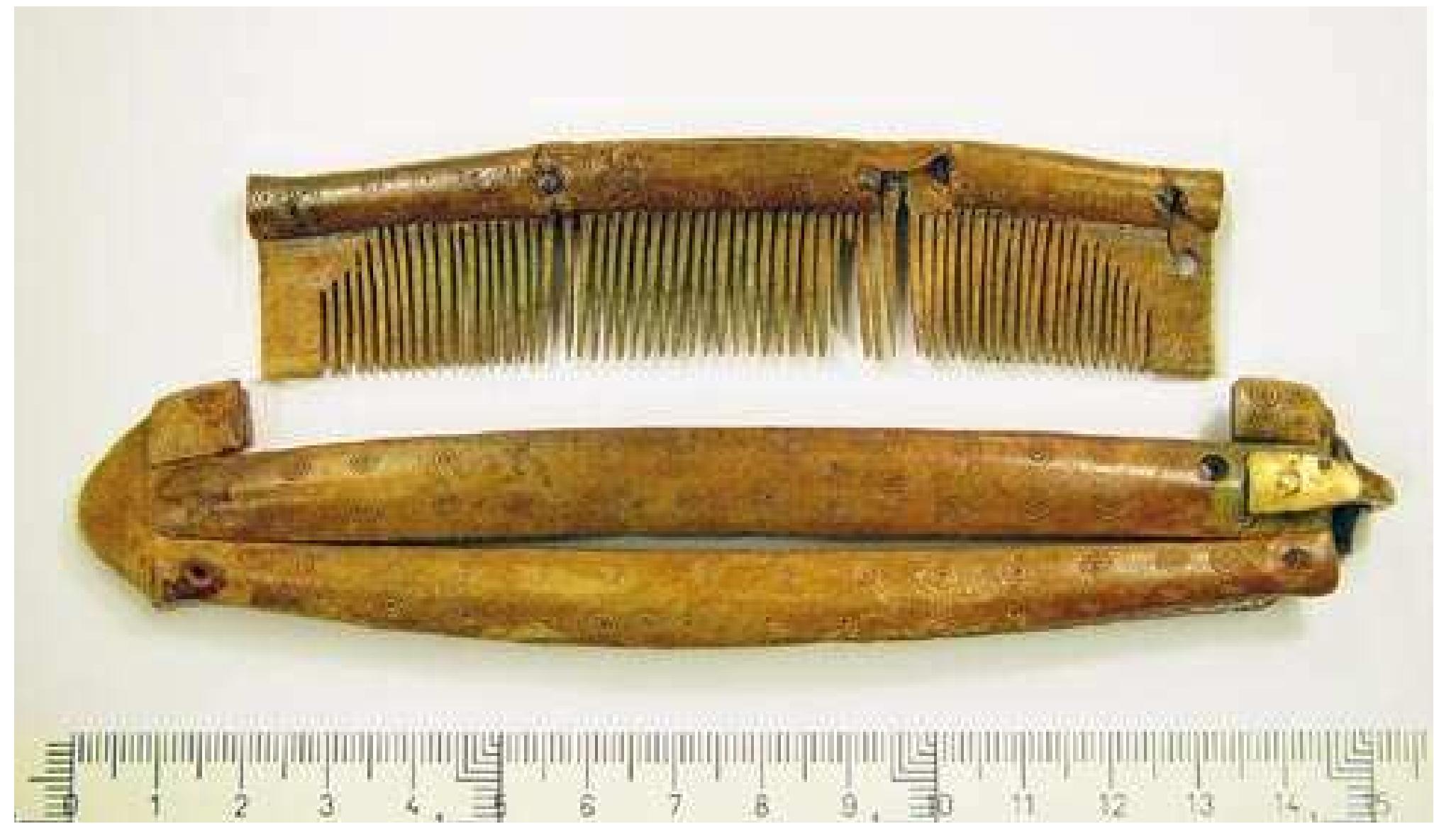 Islander Comb (PDF) Viking Combs and Comb making on the island of Gotland, Sweden ...