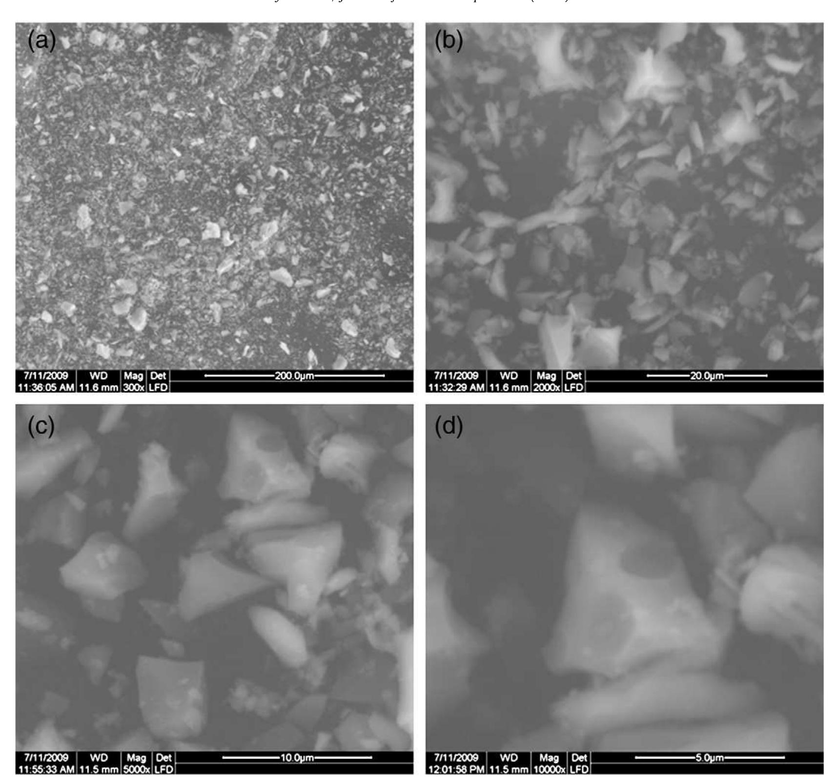 Surface morphology of the tmo catalyst (a) and (b), with