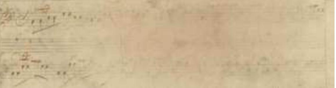 It is also very remarkable that this ending is also used in other cadenzas of Vivaldi: The Cadenza III found in the manuscript Mus.2389-0-74, which contains three cadenzas, the RV 212 and the slow movement of the RV 205: 