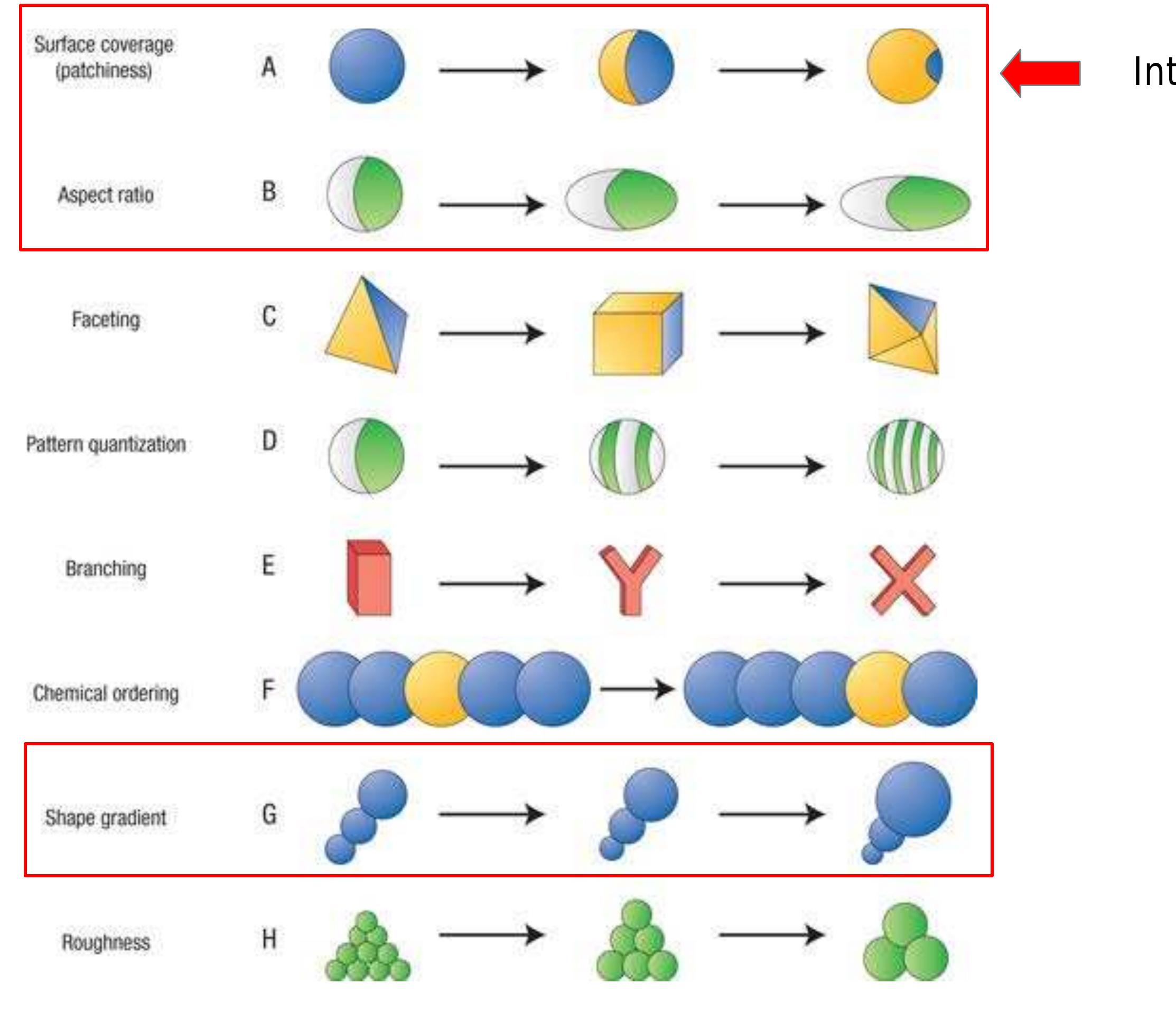 (PDF) A tale of patchy colloids: dumbbells and “Mickey Mouse” particles
