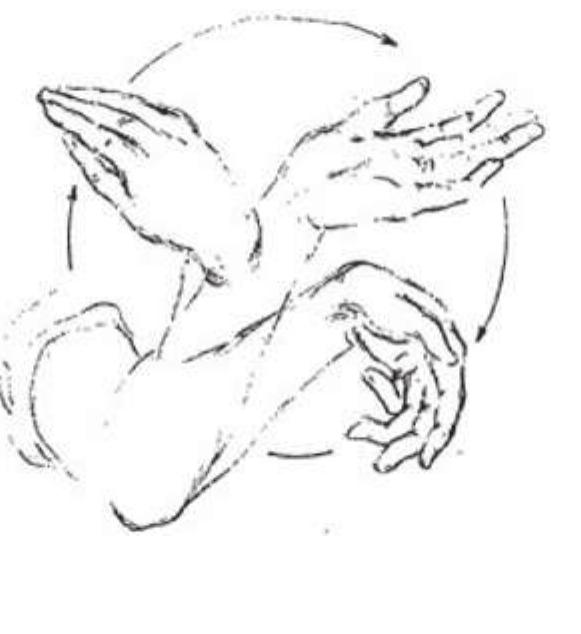 Mutant Hand Rotation (PDF) New insights into the medium hand – Discovering recurrent ...