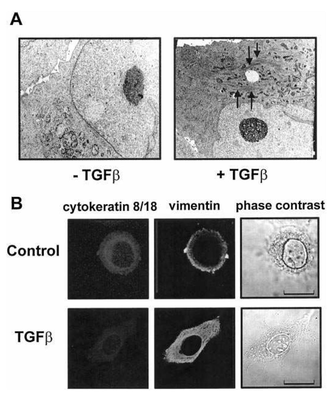 Figure 5 - from Design and test of a magnetic thrust bearing