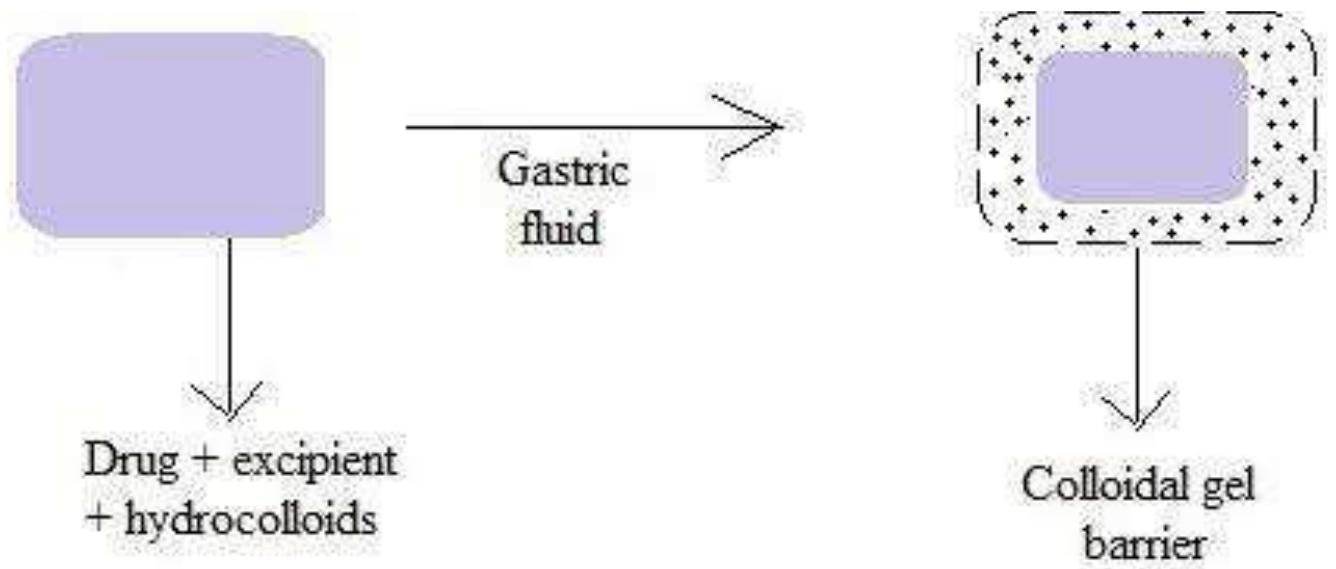 (PDF) A Review on Gastroretentive Floating Drug Delivery System