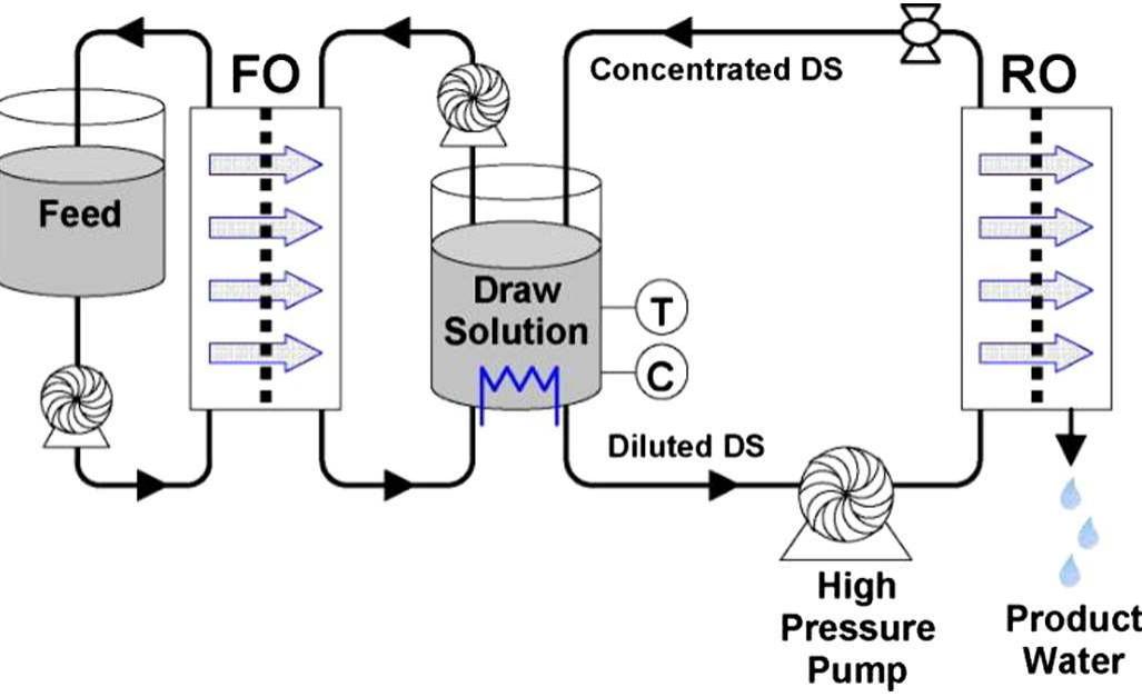 Schematic drawing of fo system proposed by martinetti et al.