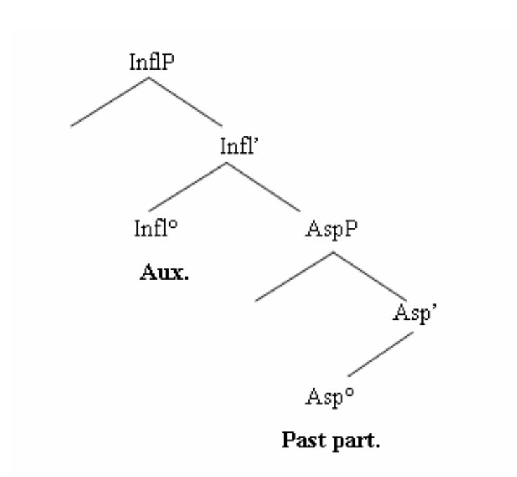 The geometry in (8) shows that morphosyntactic @ features