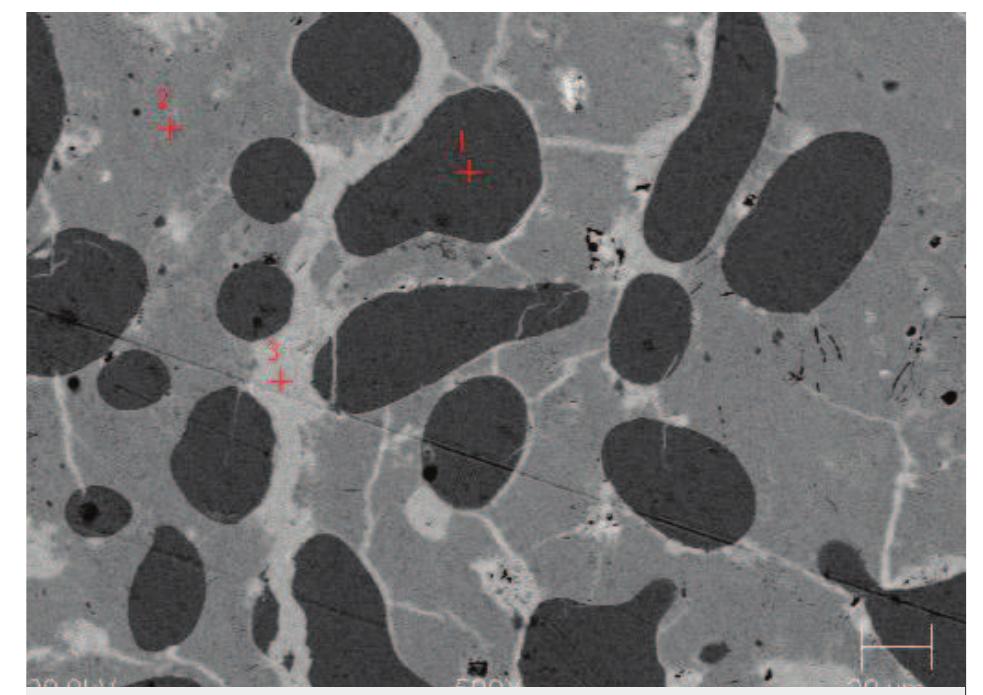 Scale Deposition Sign Sem image of a copper-smelting half product from the great