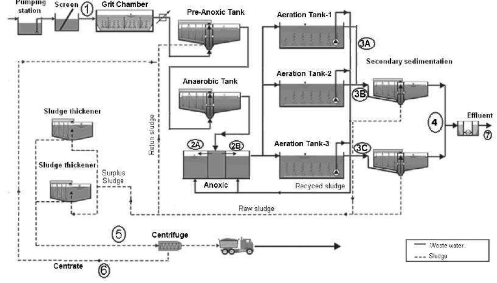 Schematic layout and location of sampling points in picket