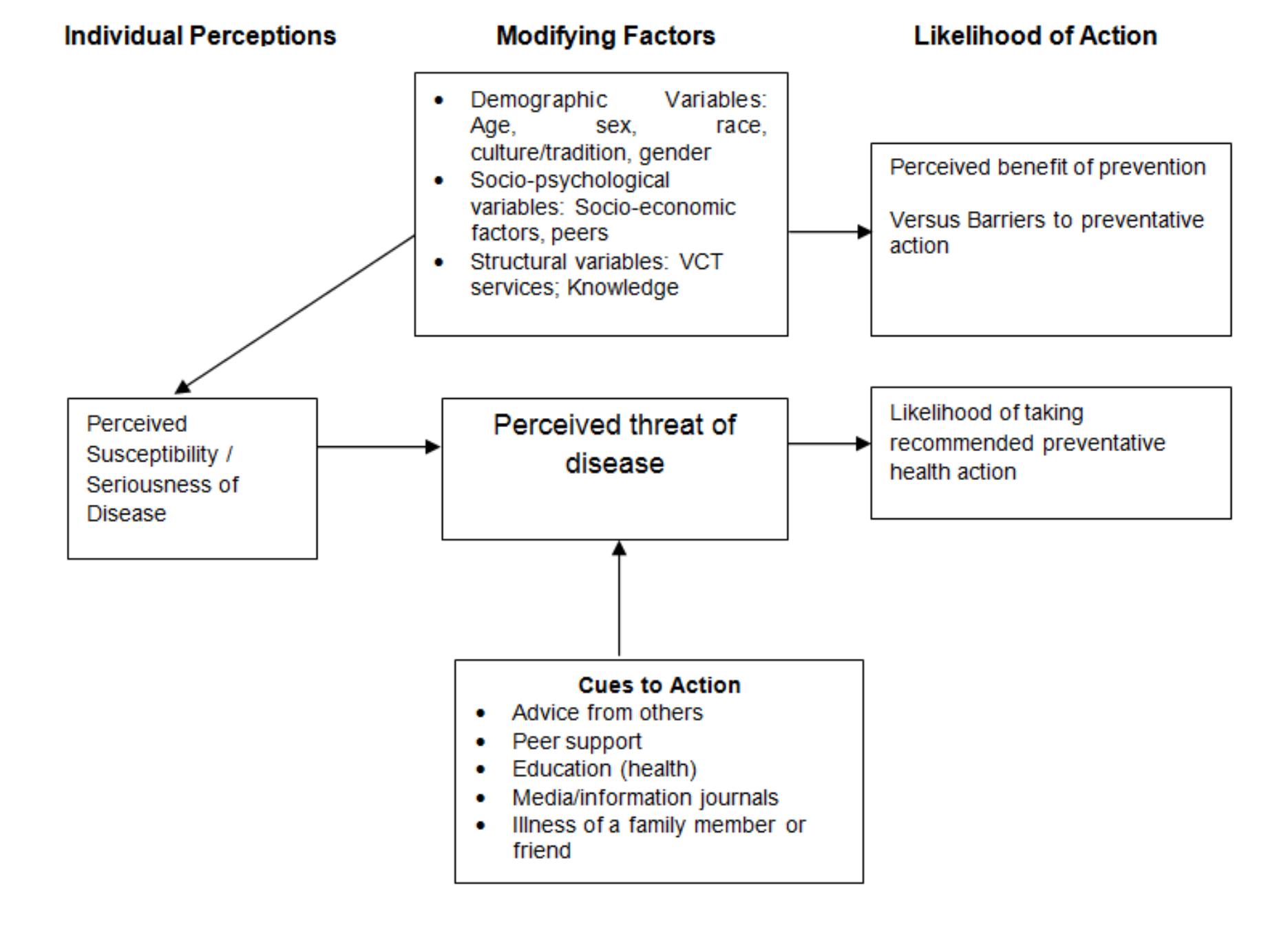 Conceptual model of the hbm. modifying factors, like