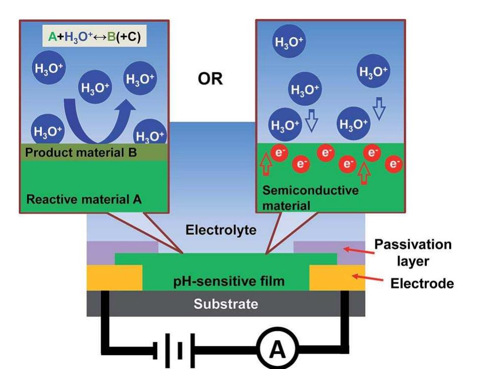 Schematic of a ph sensor in chemo-resistor structure and its