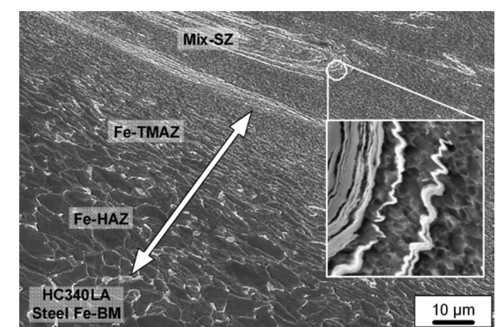 Secondary electron micrograph of the cross-section of the