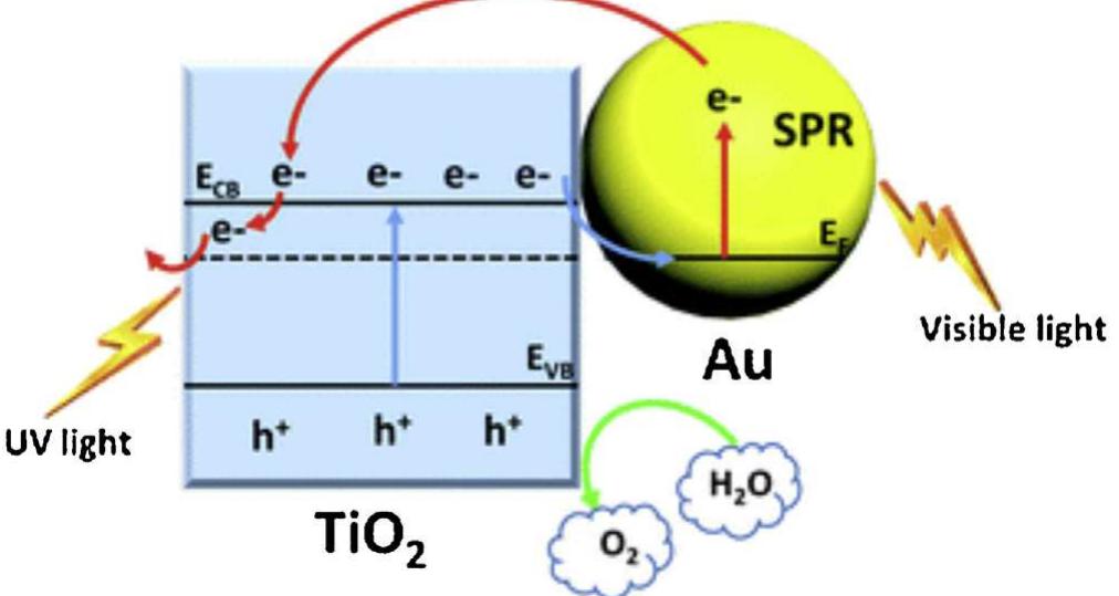 Mechanism of visible-light driven photoelectrochemical water