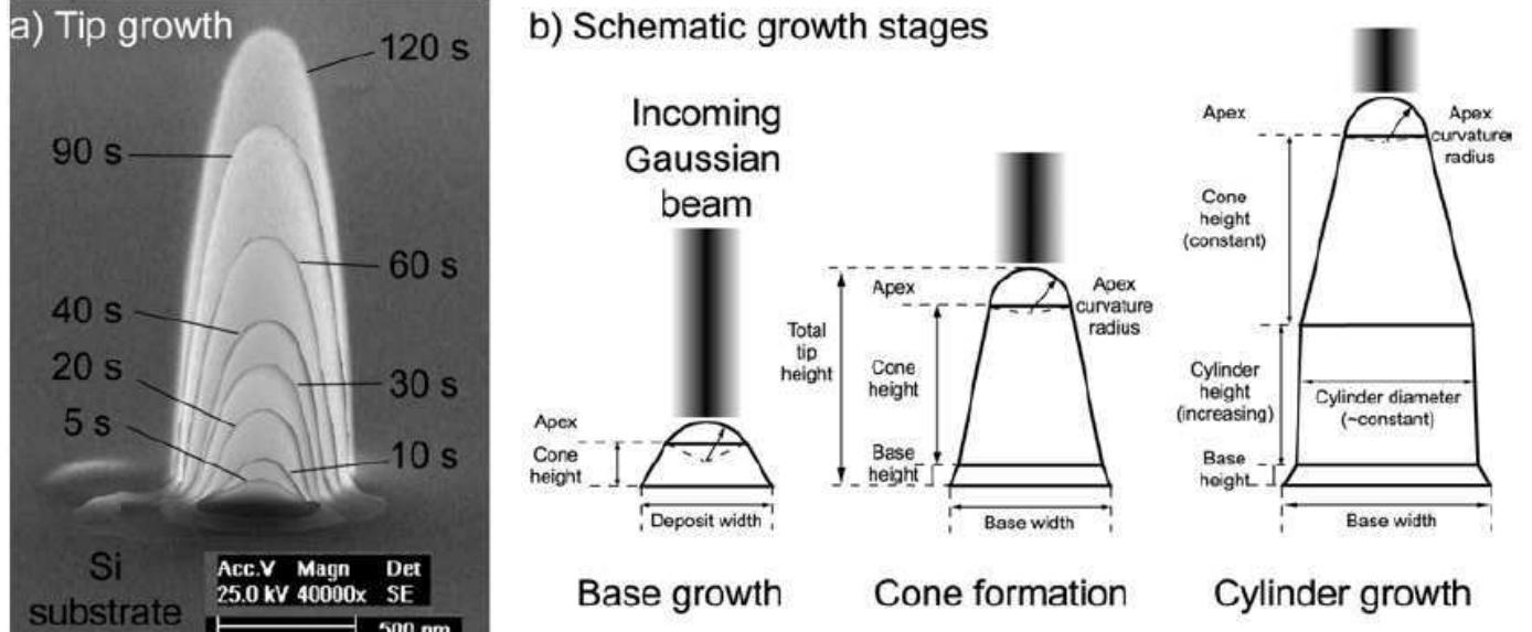 Figure 42 - from PhD Thesis: One and Two-Tip STM Aplications