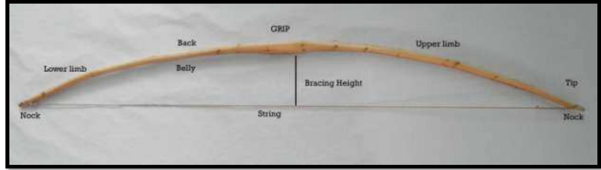 (PDF) Types of bowstrings throughout the world