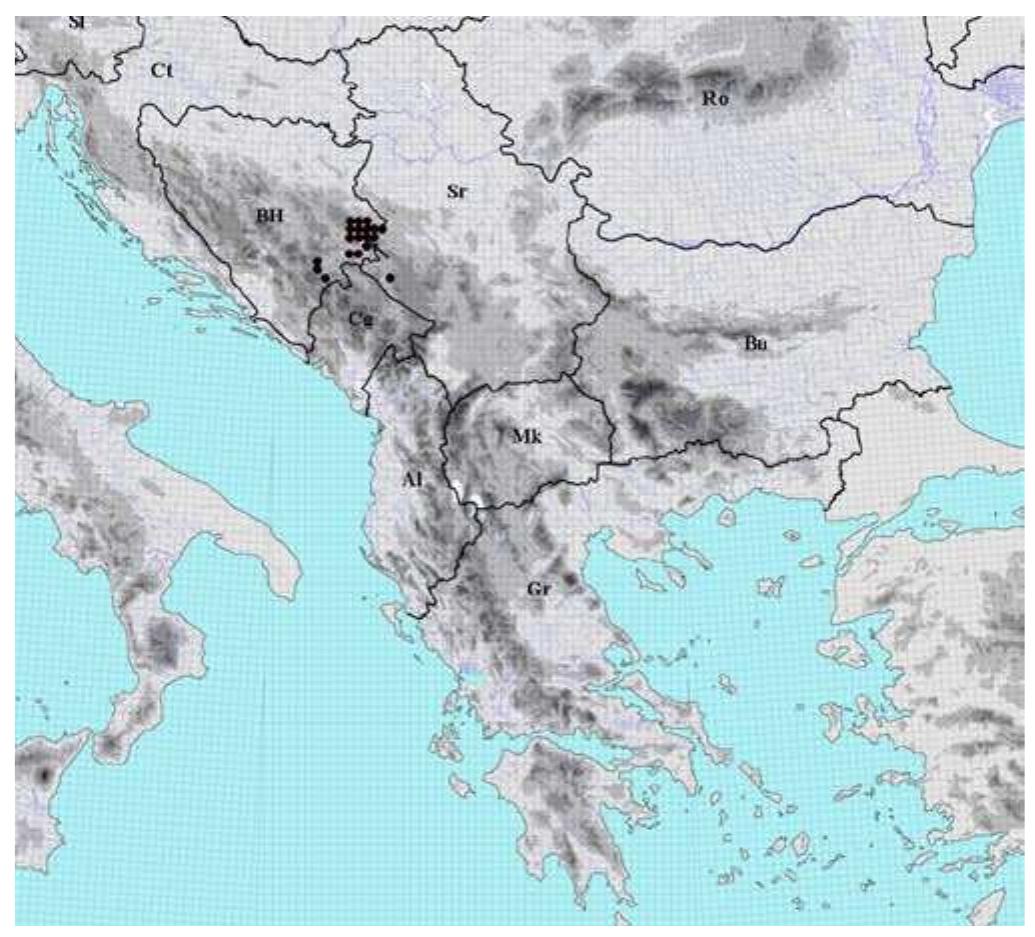 Fig. 1. Distribution of the species Picea omorika (Panéi¢) Purk. in the Balkan Peninsula Distribution of this local endemic conifer is restricted to W. Serbia and E. Bosnia and Herzegovina along the middle stretch of the Drina river (Fig. 1), within four disjuncted parts of the range: 1) Main part with numerous small sites is situated in National Park “Tara” in Serbia and adjacent sites in Bosnia and Herzegovina between Visegrad and Srebrenica (Mt Stolac, Mt Devetak); 2) Mt Viogor (Municipality of Cajni¢e) in Bosnia and Herzegovina; 3) Radomislje, part of the Mt Zelengora (Municipality of Foca) in Bosnia and Hercegovina; 4) Canyon of the MileSevka river, locality Ravniste (Municipality of Prijepolje) in S.W. Serbia (FUKAREK 1951; Coté 1953; MataruGa et al. 2011).