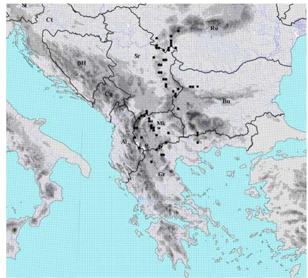 Fig. 9. Distribution of the species Erysimum commatum Panéié in the Balkan Peninsula and Romania
