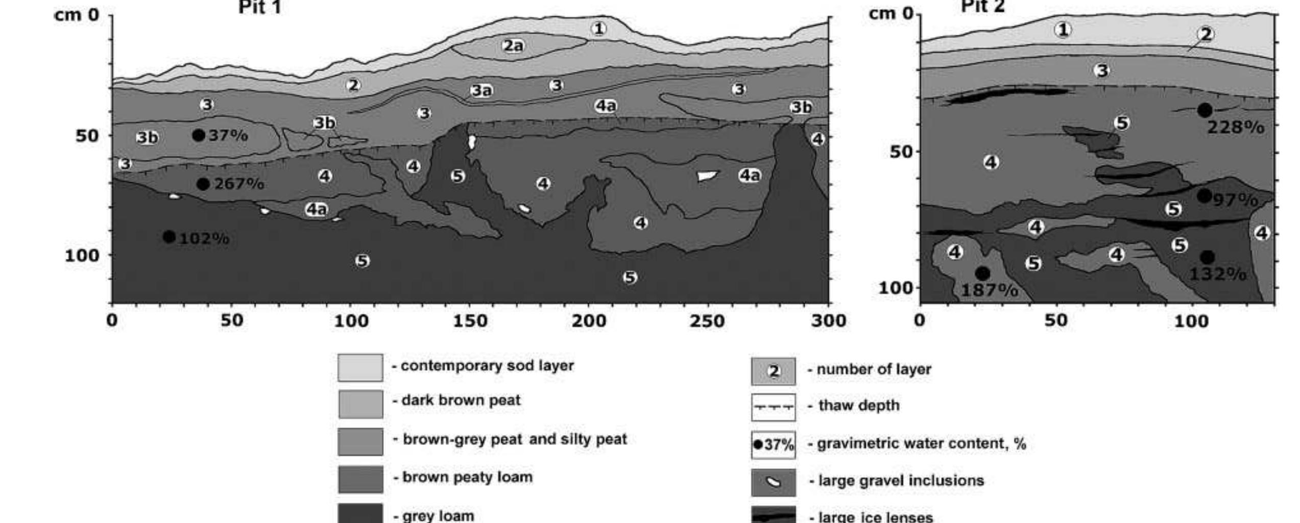 Soil morphology of two soil pits showing extensive