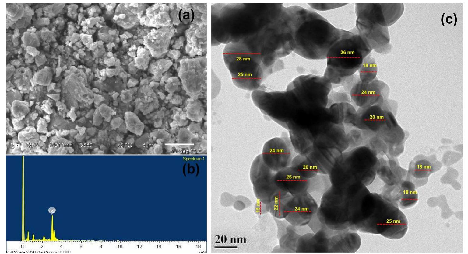 (a) sem, (b) eds and (c) tem analysis of ag nano particles.