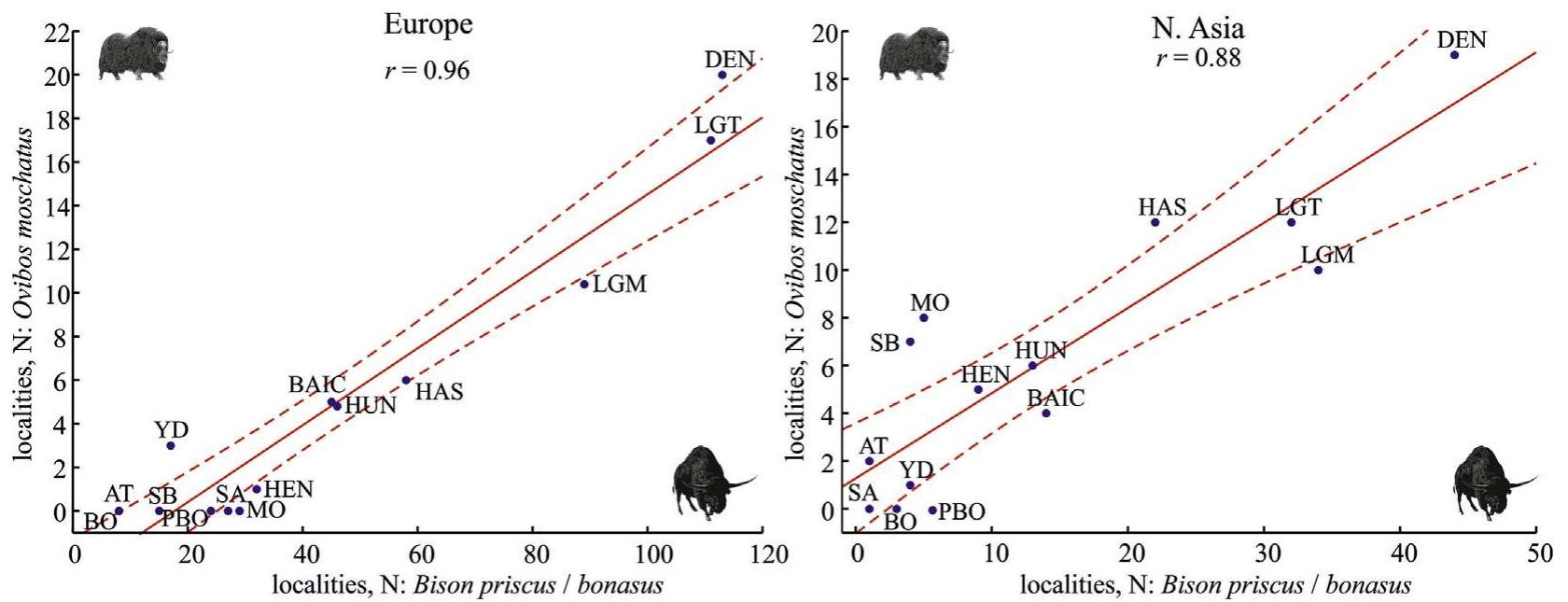 Fig. 5. Correlation between the numbers of localities with the primitive bison/wisent (Bison priscus/bonasus) and with the musk ox (0. moschatus) in the European and Asian parts of the species ranges.  The reduction of the range of the bison in the beginning of the Holocene is related to the degradation of widely distributed open, periglacial landscapes and the increase of snow cover (Flerov and Zabolotski, 1961). It is remarkable, however, that in North Amer- ica similar changes in the ecosystems did not lead to the extinction of the American bison, which is genetically very close to the Eurasian bison (Shapiro et al., 2004). This might be explained by the possibility that the extinction of the Eurasian bison was not only the result of climate changes, but also the result of anthropogenic pressure. It is obvious that humans played a role in the extinction of  Primitive bison populations in the European part of the bison range probably had a more intensive increase of their numbers between the Moershoofd Interstadial and the Hasselo Stadial, be- tween the Huneborg Stadial and the Denekamp Interstadial, and after the LGM depression in the early LGT period than in the Asian part of its range. Overall, in N. Asia the number of localities with this species is in average 2 to 5 times less per time unit than in Europe 