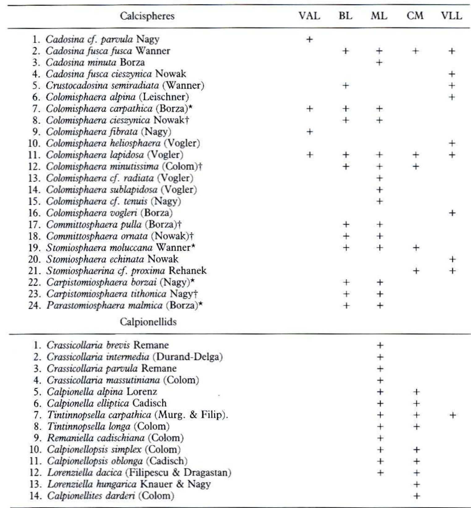 Calcispheres (PDF) Calpionellids and calcispheres from the Upper Jurassic-Lower ...