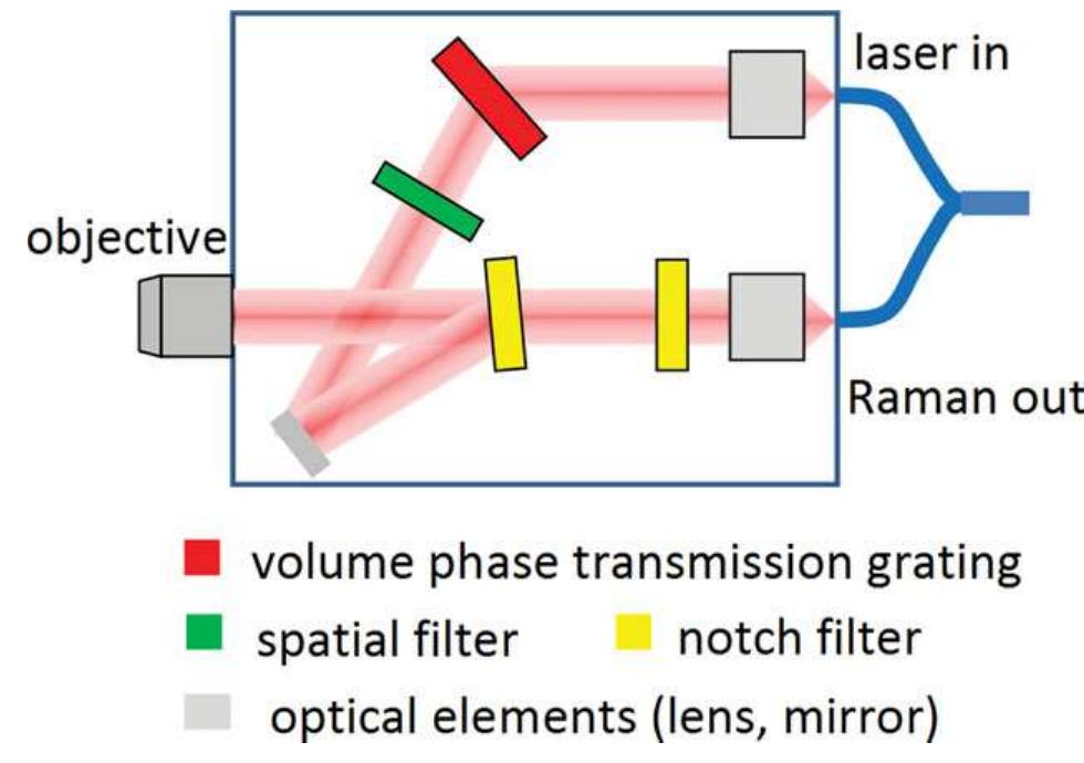 Kaiser Raman System Figure 14 - from Fiber optic probes for linear and nonlinear
