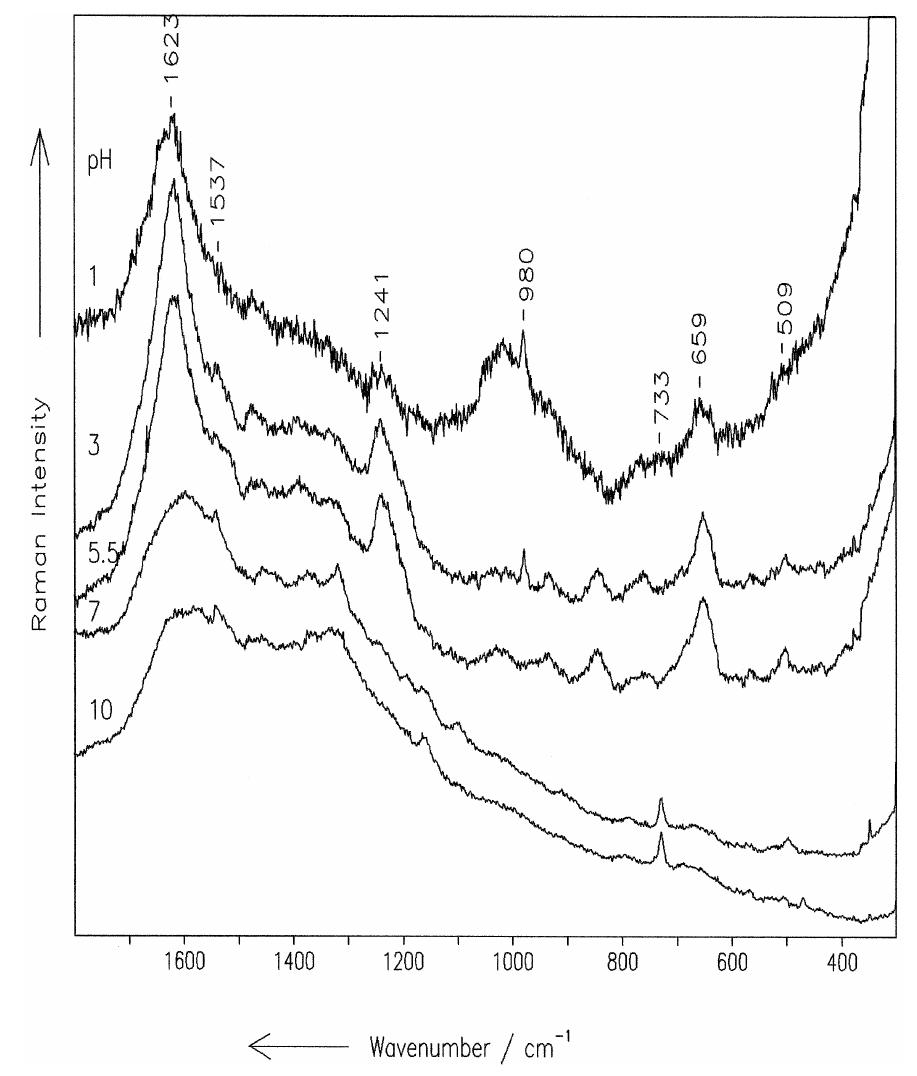 Raman spectra of b, vitamin aqueous saturated solution at