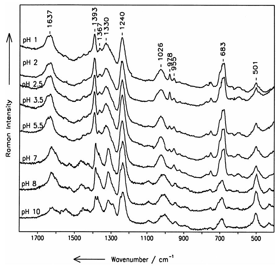 Raman spectra of b, vitamin aqueous saturated solution at