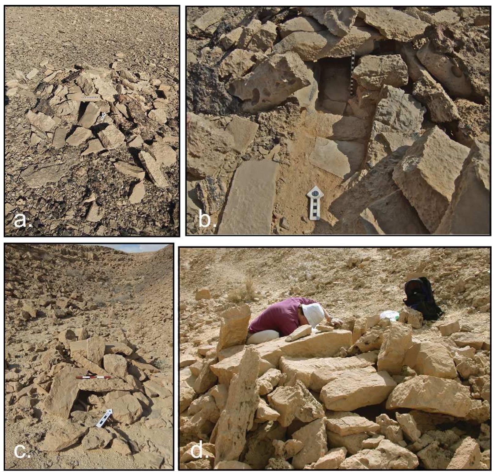 Uvda Photographs of the ‘uvda valley ‘leopard traps studied here;