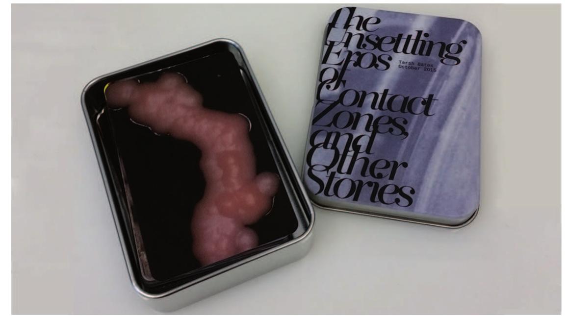 Figure 5 - from The Unsettling Eros of Contact Zones, and