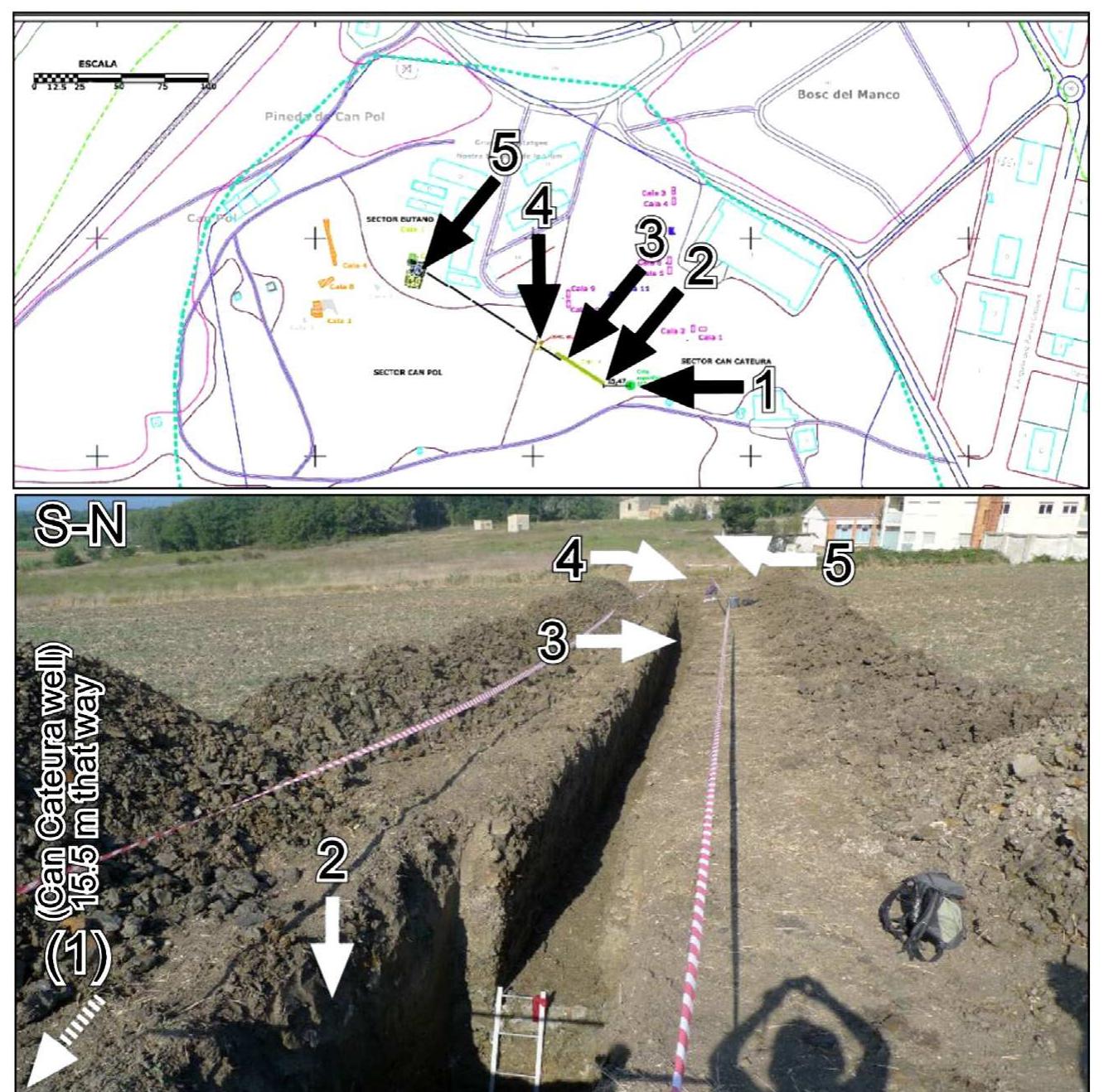 (PDF) Late Pliocene vegetation and orbital-scale climate changes from ...