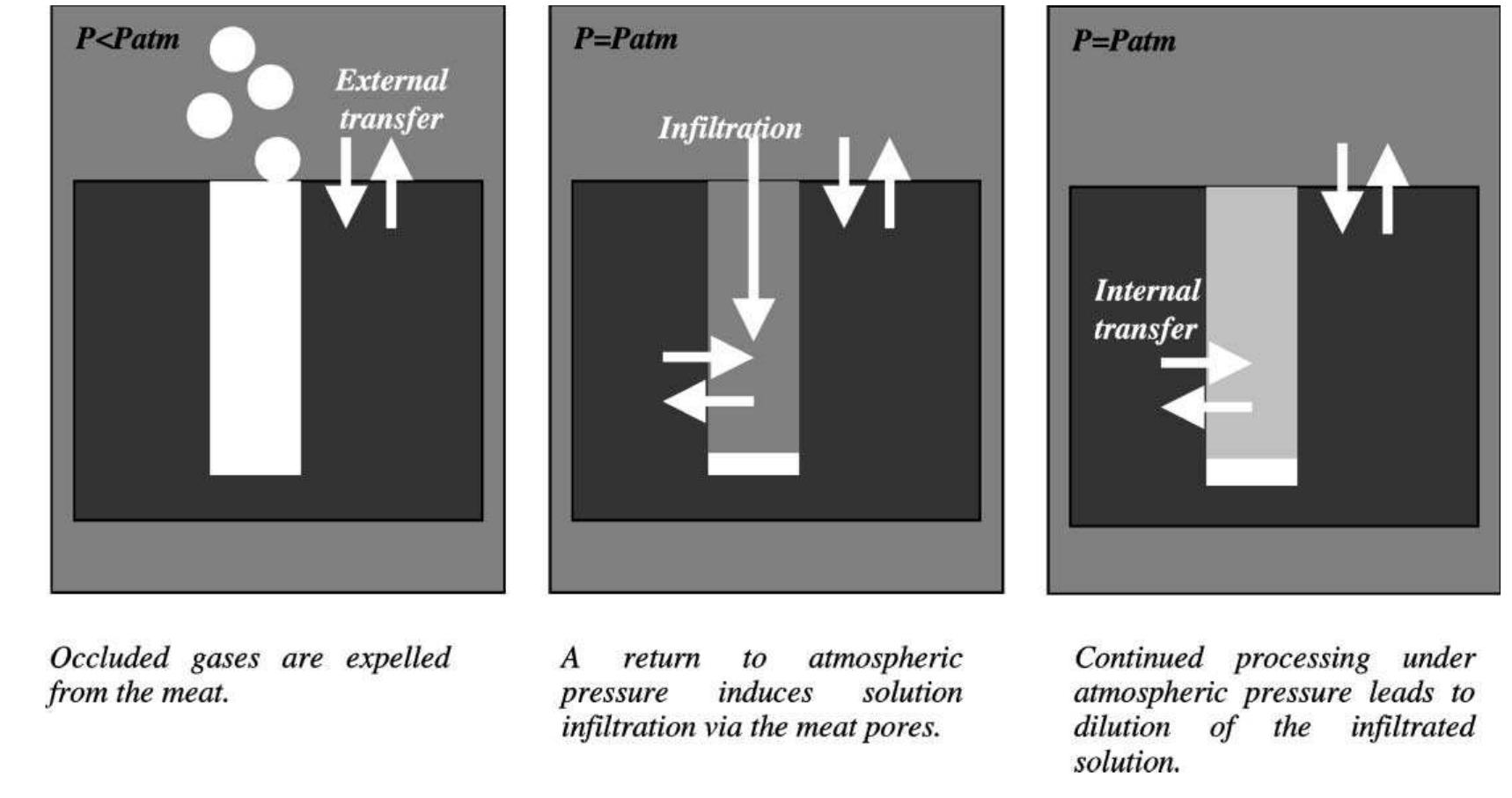 (PDF) Pulsed vacuum brining of poultry meat: interpretation of mass ...