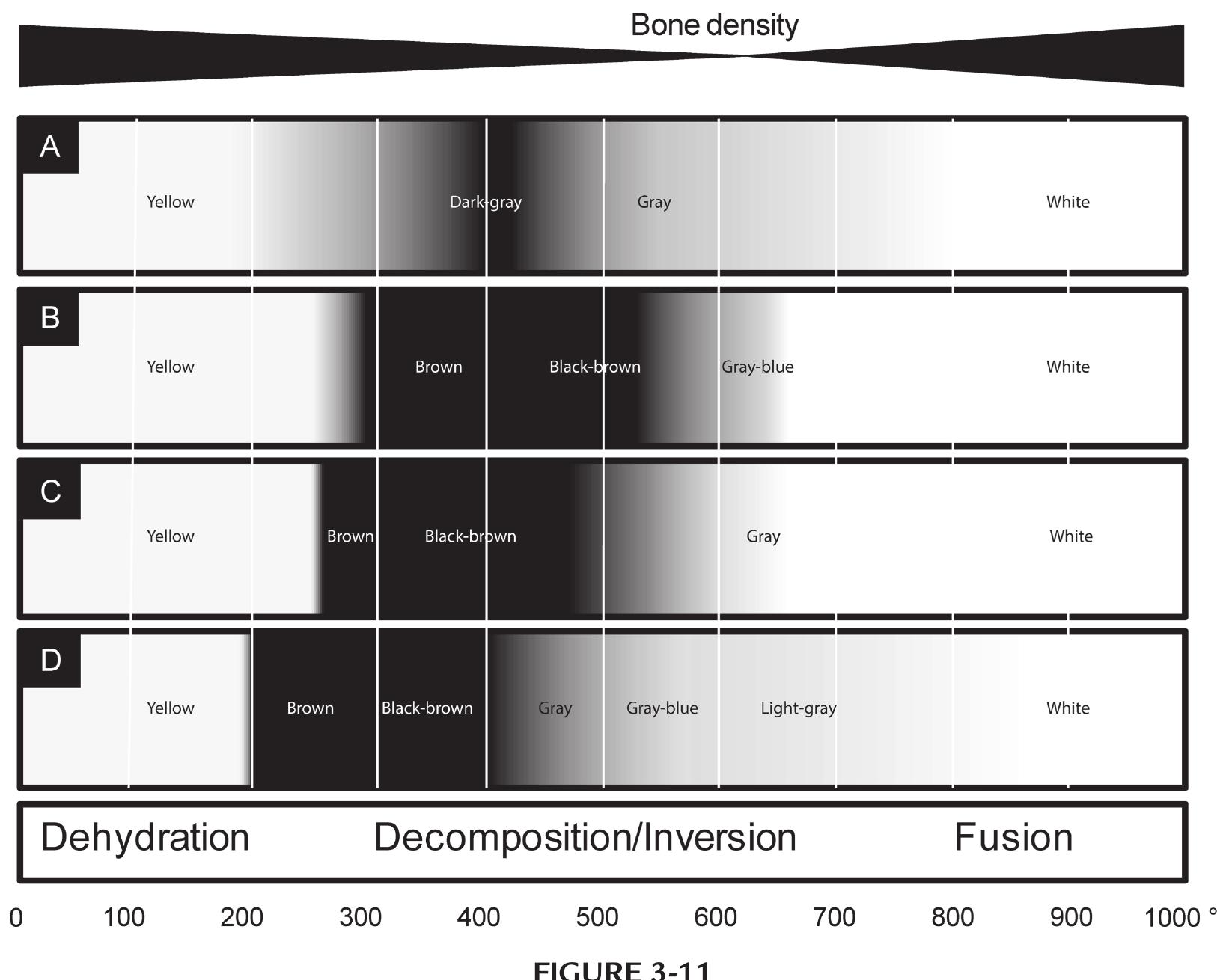 Vector map of articulated skeletons of the deepest level of