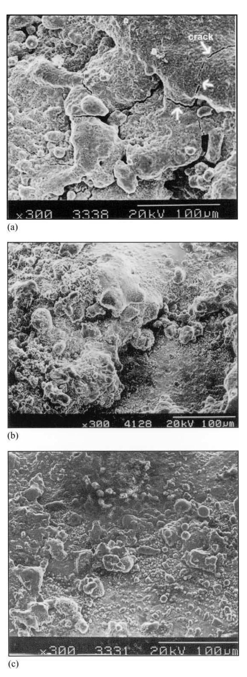 Sem of the worn surfaces: (a) micrograph of the worn surface