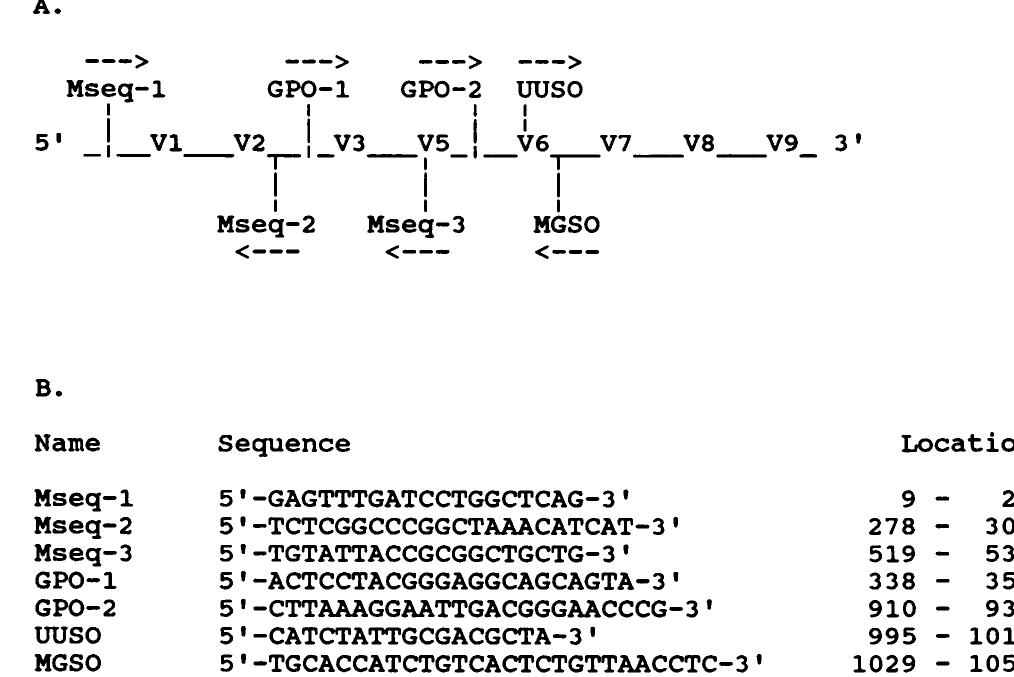 Figure 1 - from Genus-andSpecies-Specific Identification