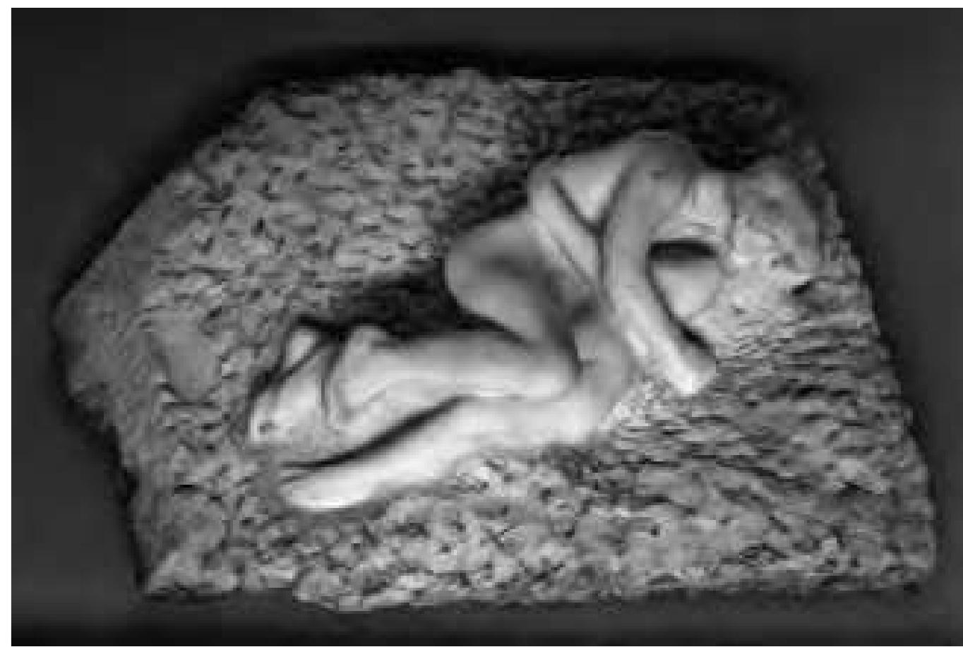 Akamni jinsiy aloqada ushlab oldim Chodirning kokraklari