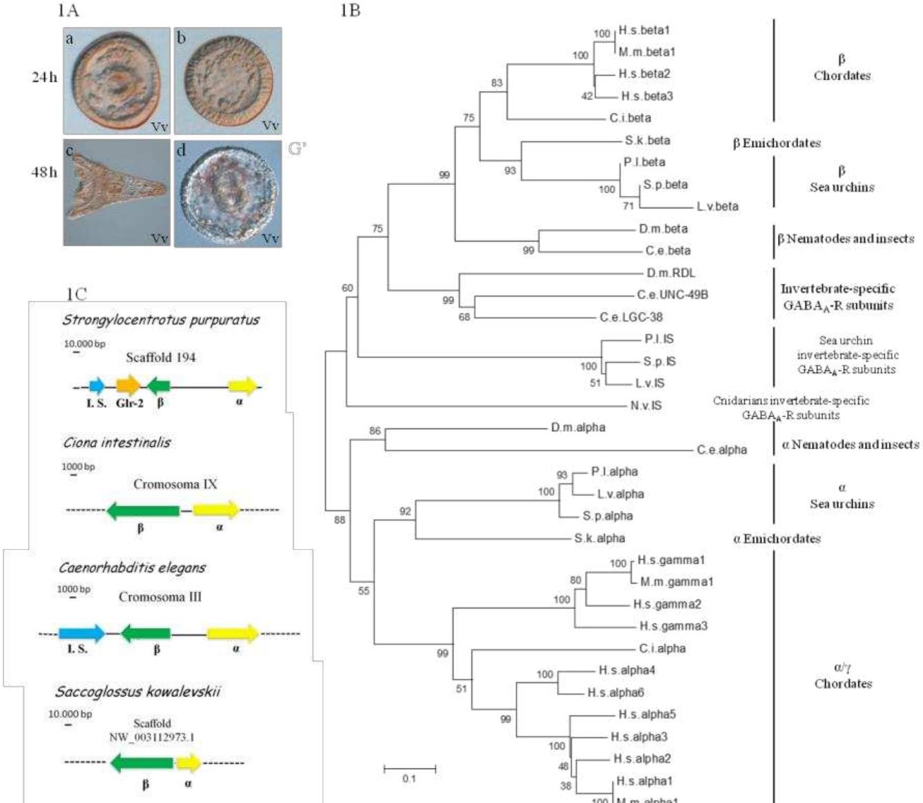 ミセス　10 & “Harmony” COMPLETE BOX PDF) Comparative Analysis of Hsp10 and Hsp90 Expression in Healthy