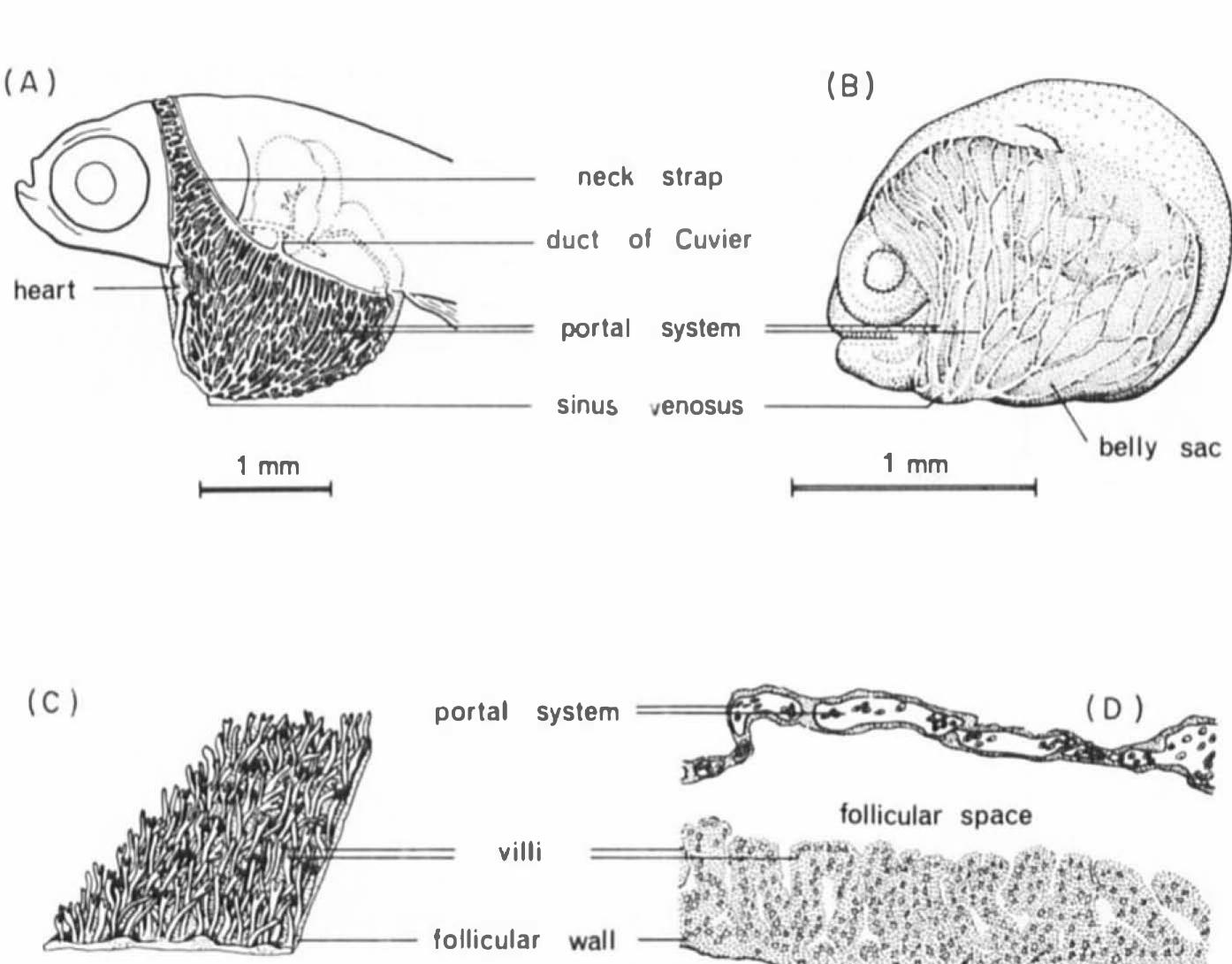 PDF) Fish Physiology_1969_Vol 03_Reproduction and Growth