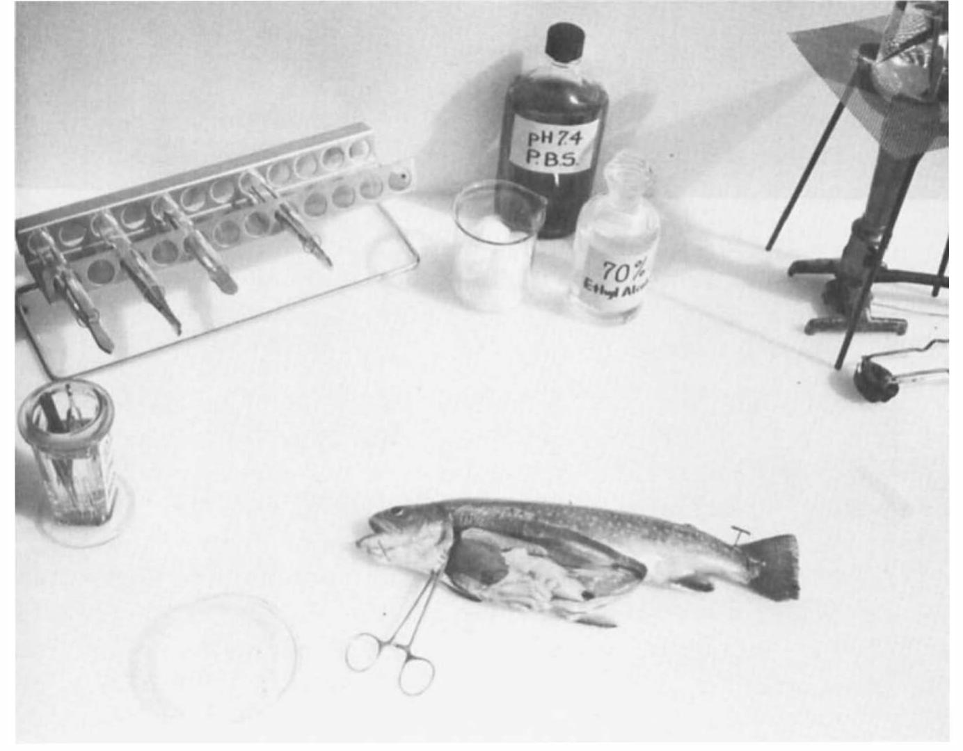 PDF) Fish Physiology_1969_Vol 03_Reproduction and Growth