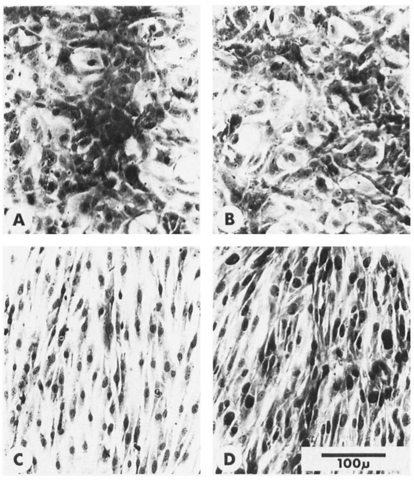 PDF) Fish Physiology_1969_Vol 03_Reproduction and Growth