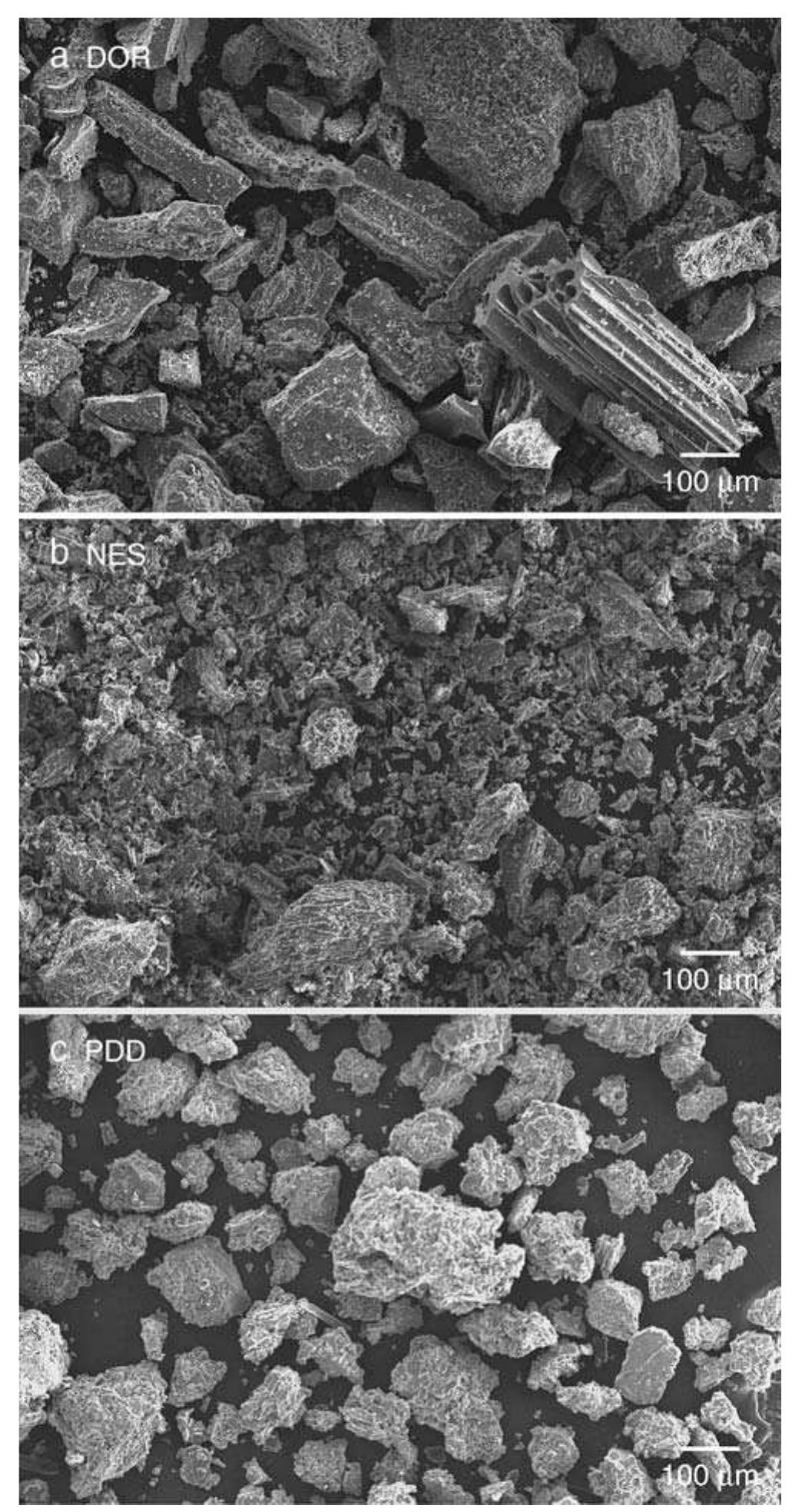 Scanning electron microscope images of ash particles from