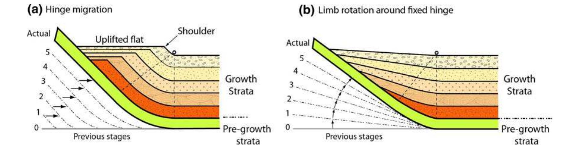 event-a-cross-section-adapted-after-ford-et-al-1997-b