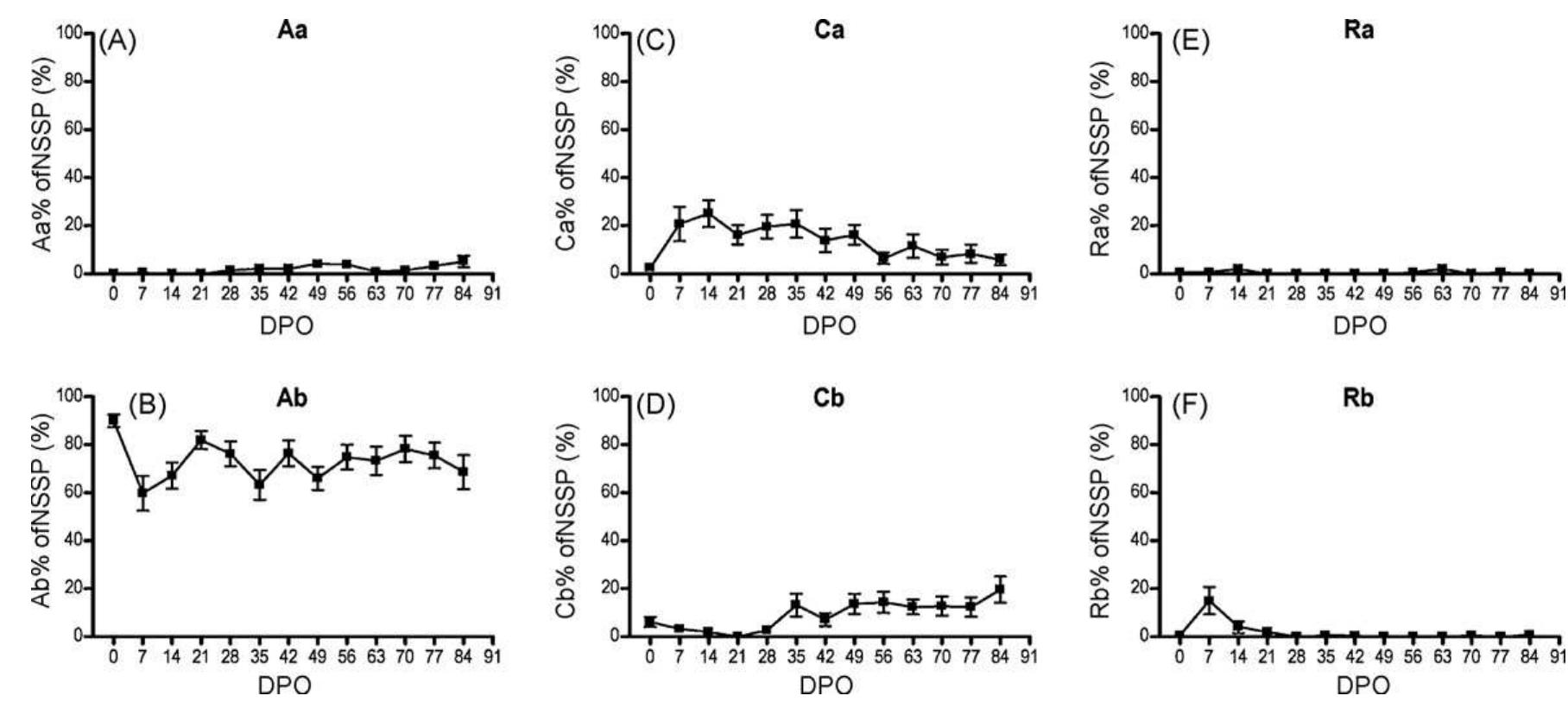 (PDF) CatWalk gait analysis in assessment of functional recovery after ...