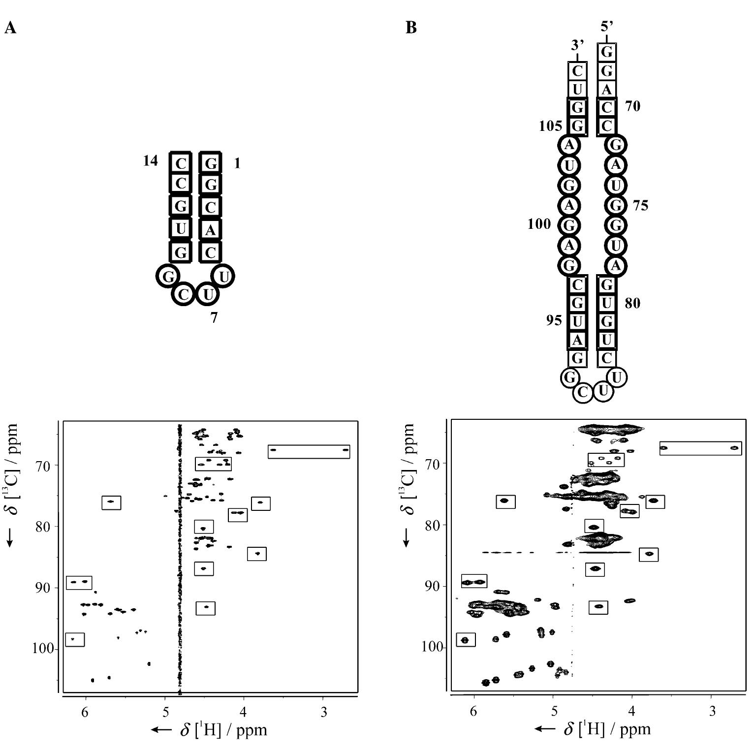 Uncg Pattern (PDF) NMR Spectroscopy of RNA