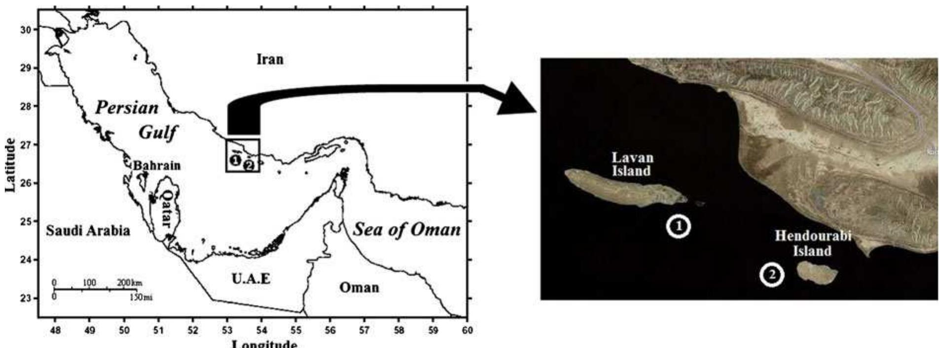 Map of the persian gulf showing location of the sampling