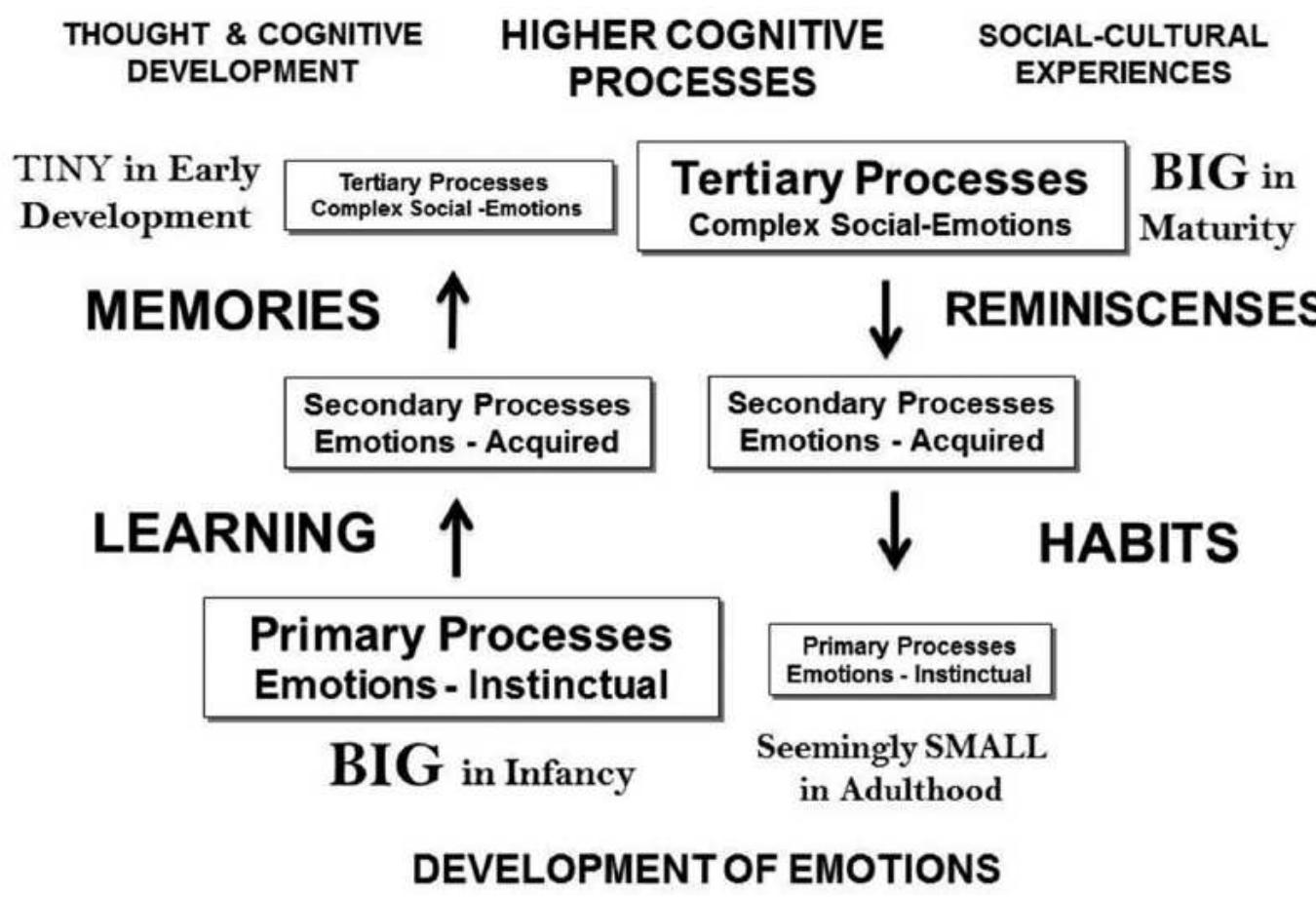 Very Programmed Figure 1 - from Toward the Constitution of Emotional