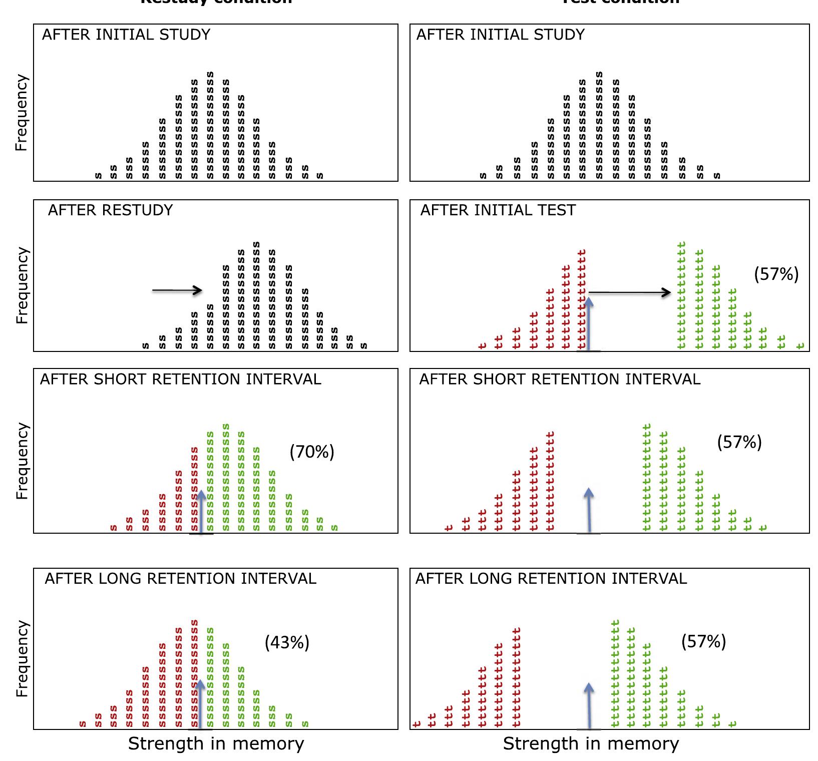 (PDF) Why tests appear to prevent forgetting: A distribution-based ...