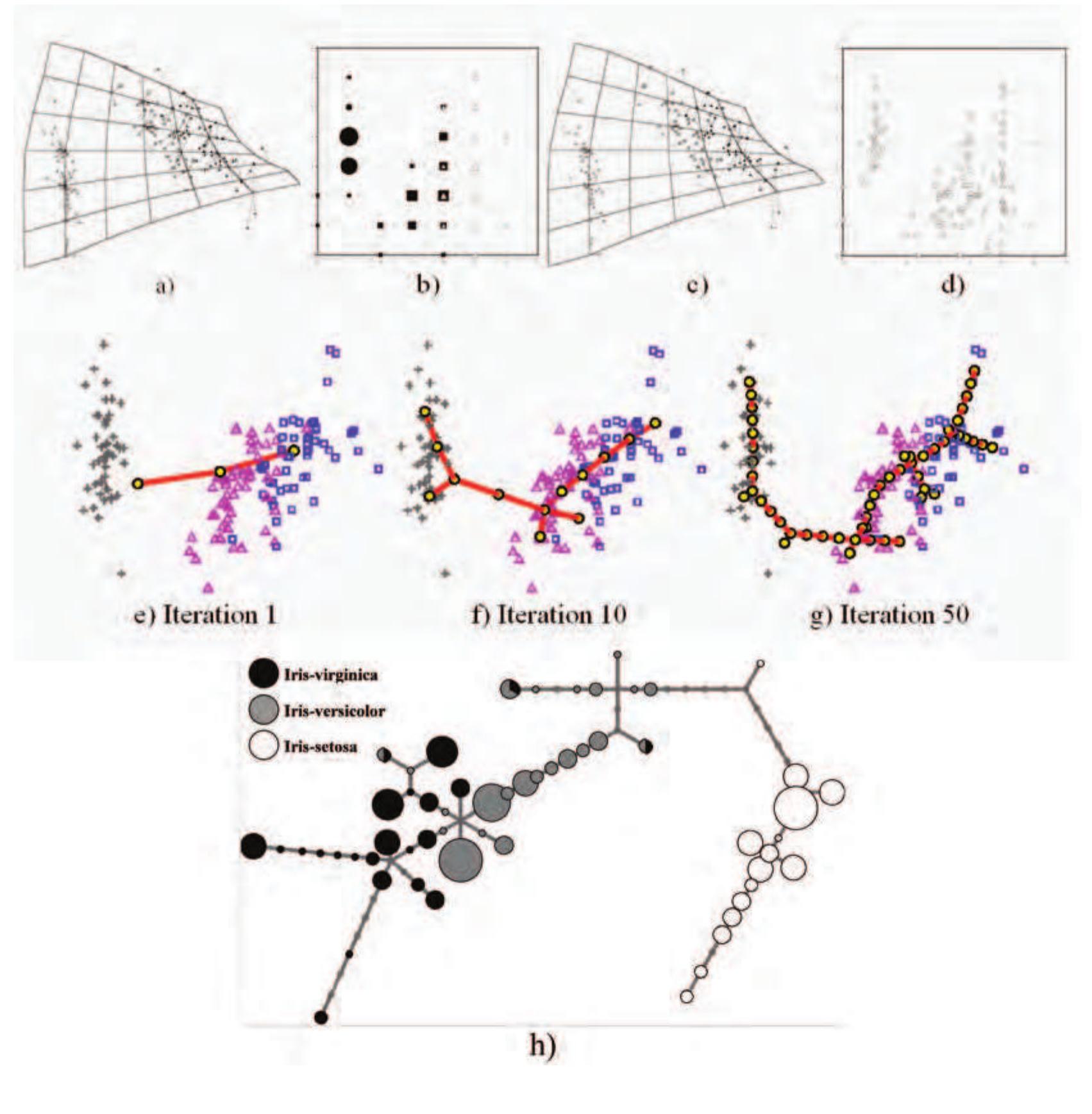 (PDF) Principal Graphs and Manifolds